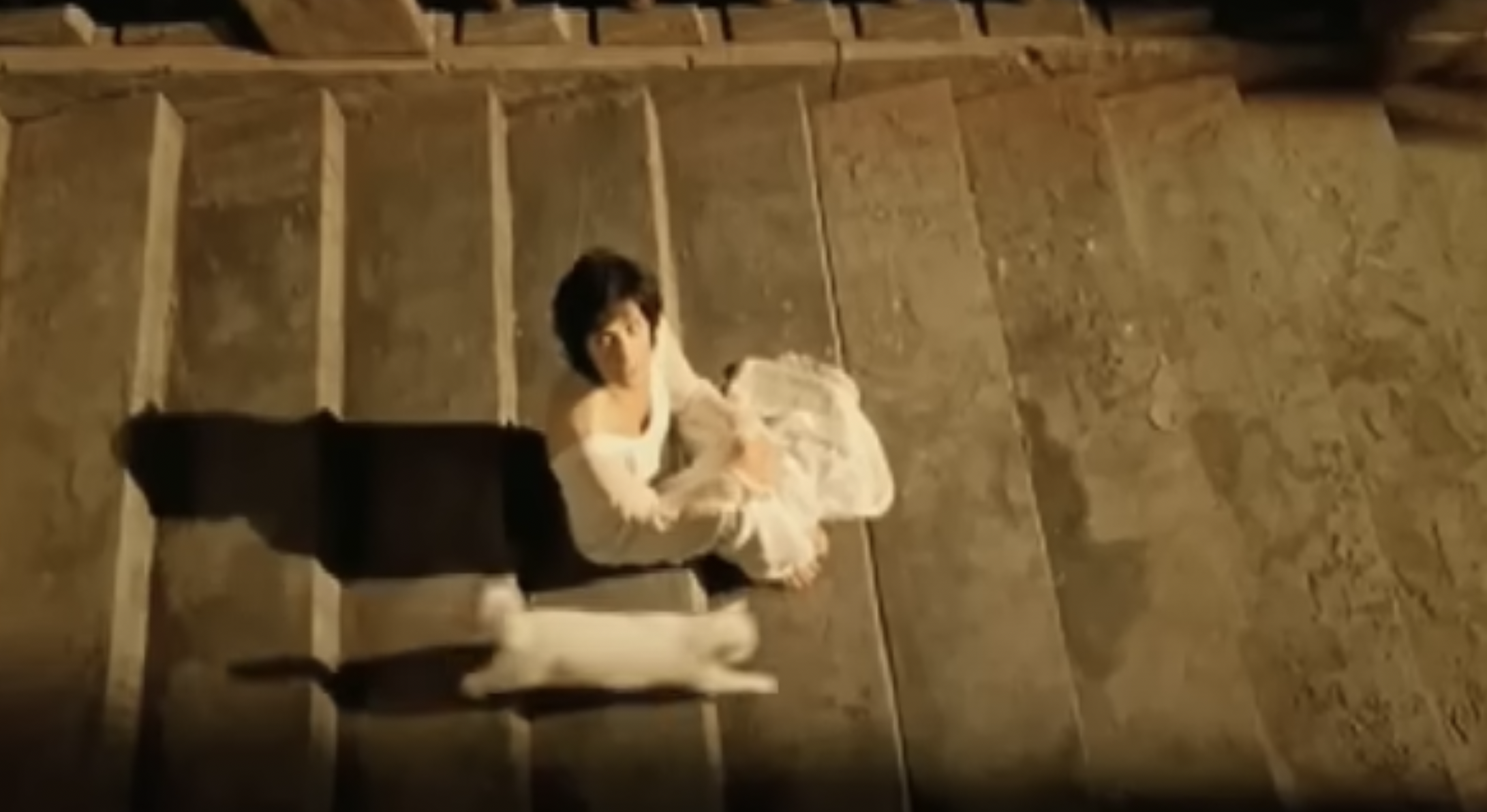 The famous singer with a cat from a video dated October 22, 2008. | Source: YouTube/enyatv