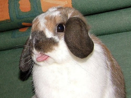 Source : Flickr Source : Flickr