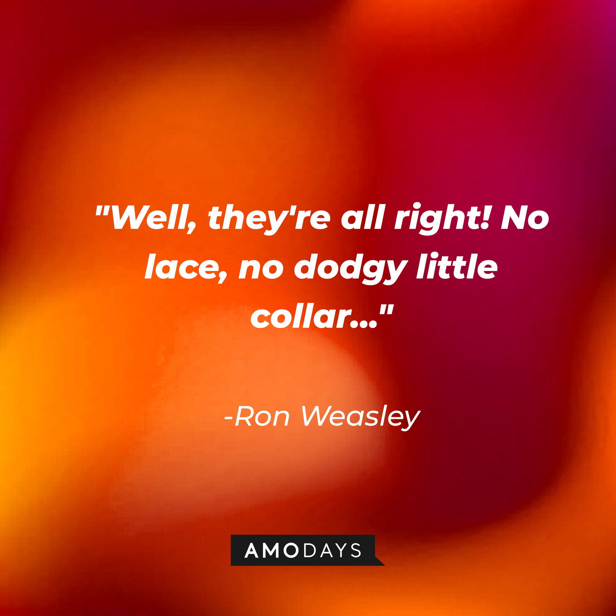 Ron Weasley's quote: "Well, they're all right! No lace, no dodgy little collar..." | Image: Amodays
