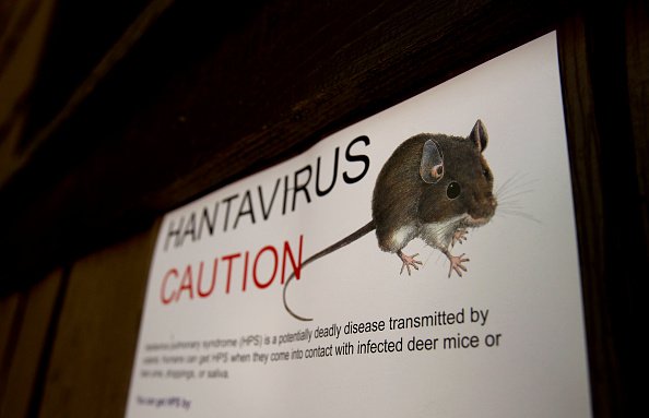 Warning signs for the hantavirus. | Photo: Getty Images