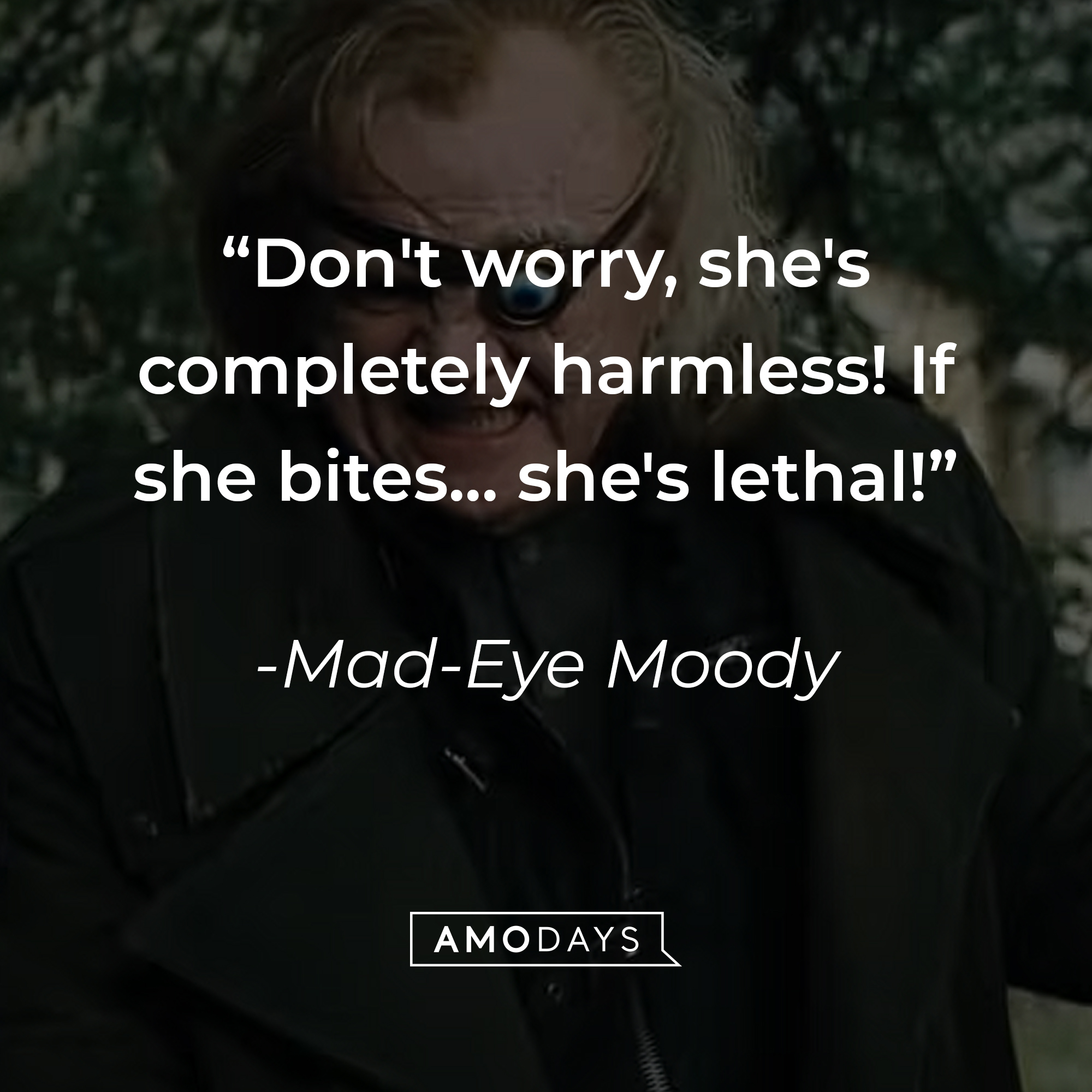 29-mad-eye-moody-quotes-that-take-you-back-to-the-halls-of-hogwarts