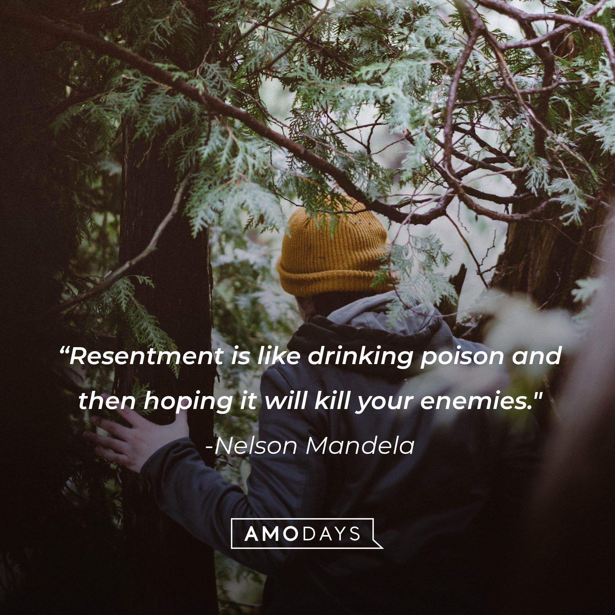 Nelson Mandela’s quote: "Resentment is like drinking poison and then hoping it will kill your enemies." | Image: AmoDays     