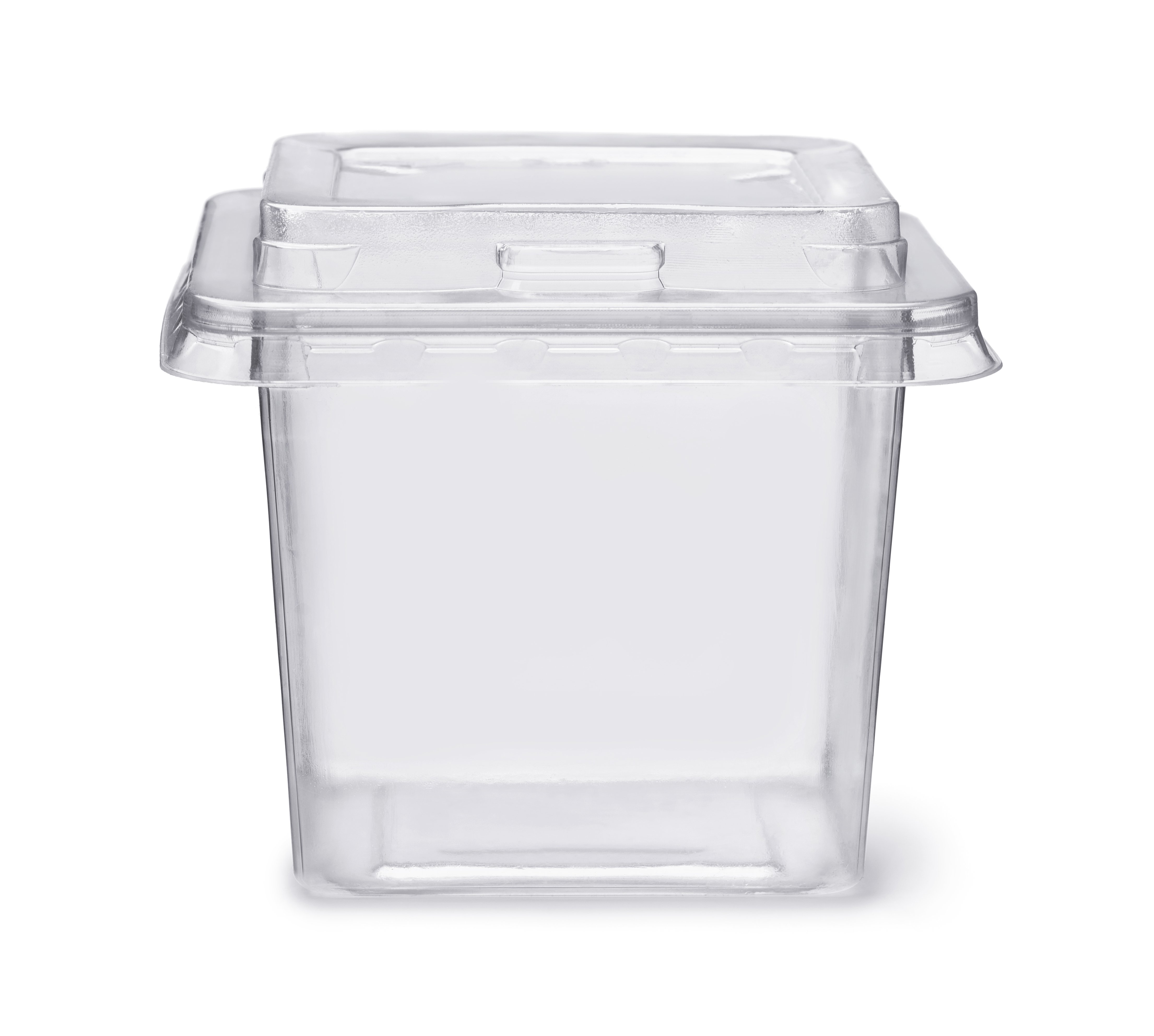 Clear storage bin | Shutterstock