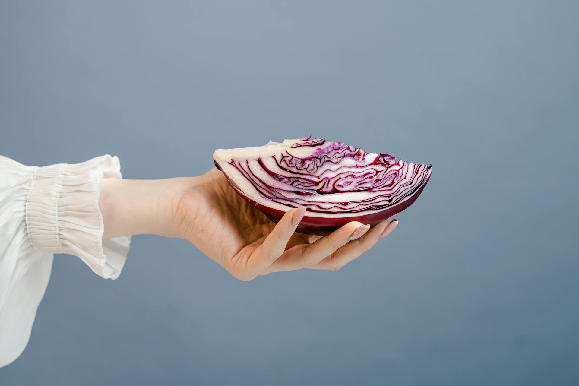 A person holding a red cabbage | Source: Pexels