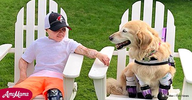10-year-old boy who lost both legs gets a surprise meeting with an amputee dog