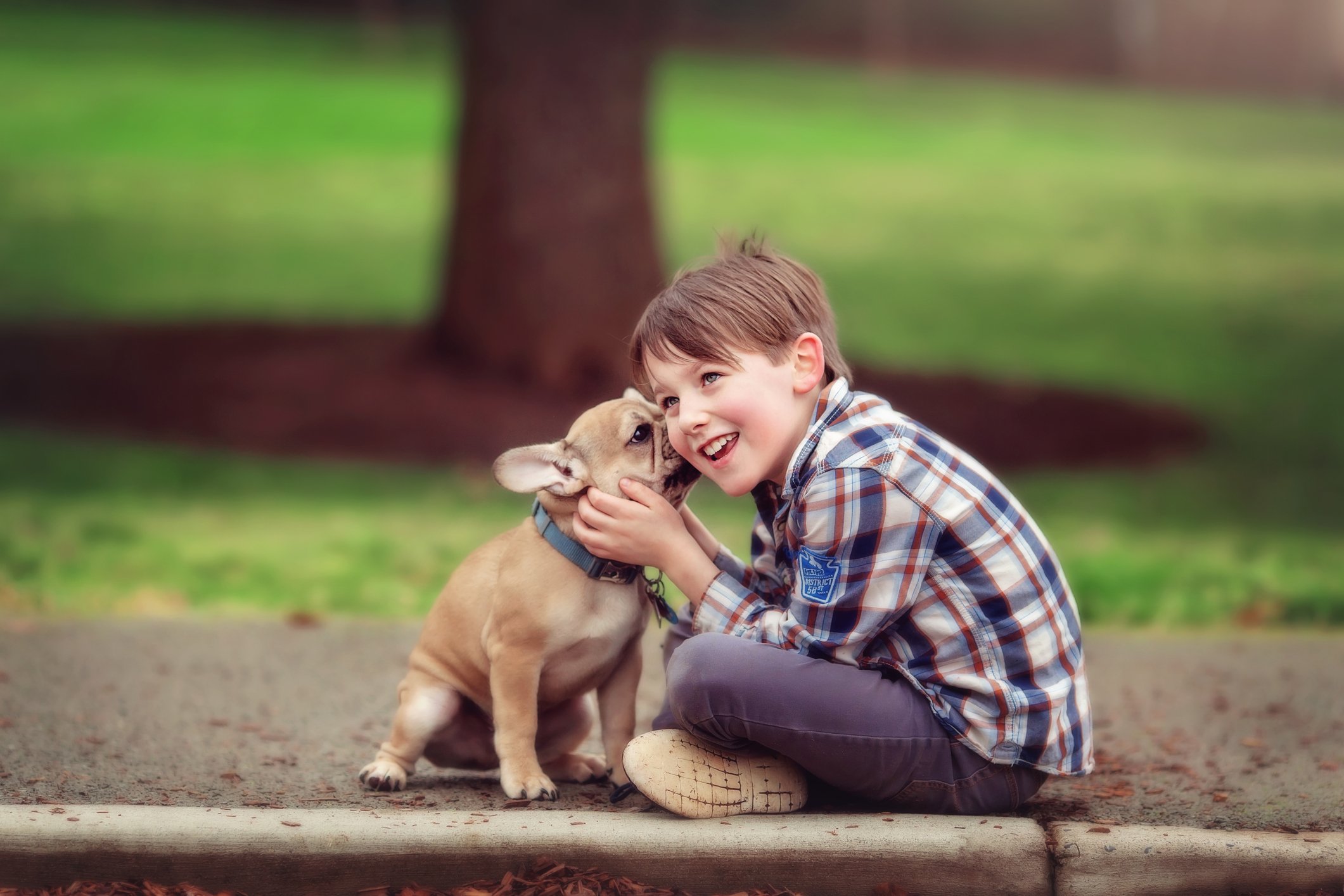 Ein Hund mit einem kleinen Jungen | Quelle: Getty Images