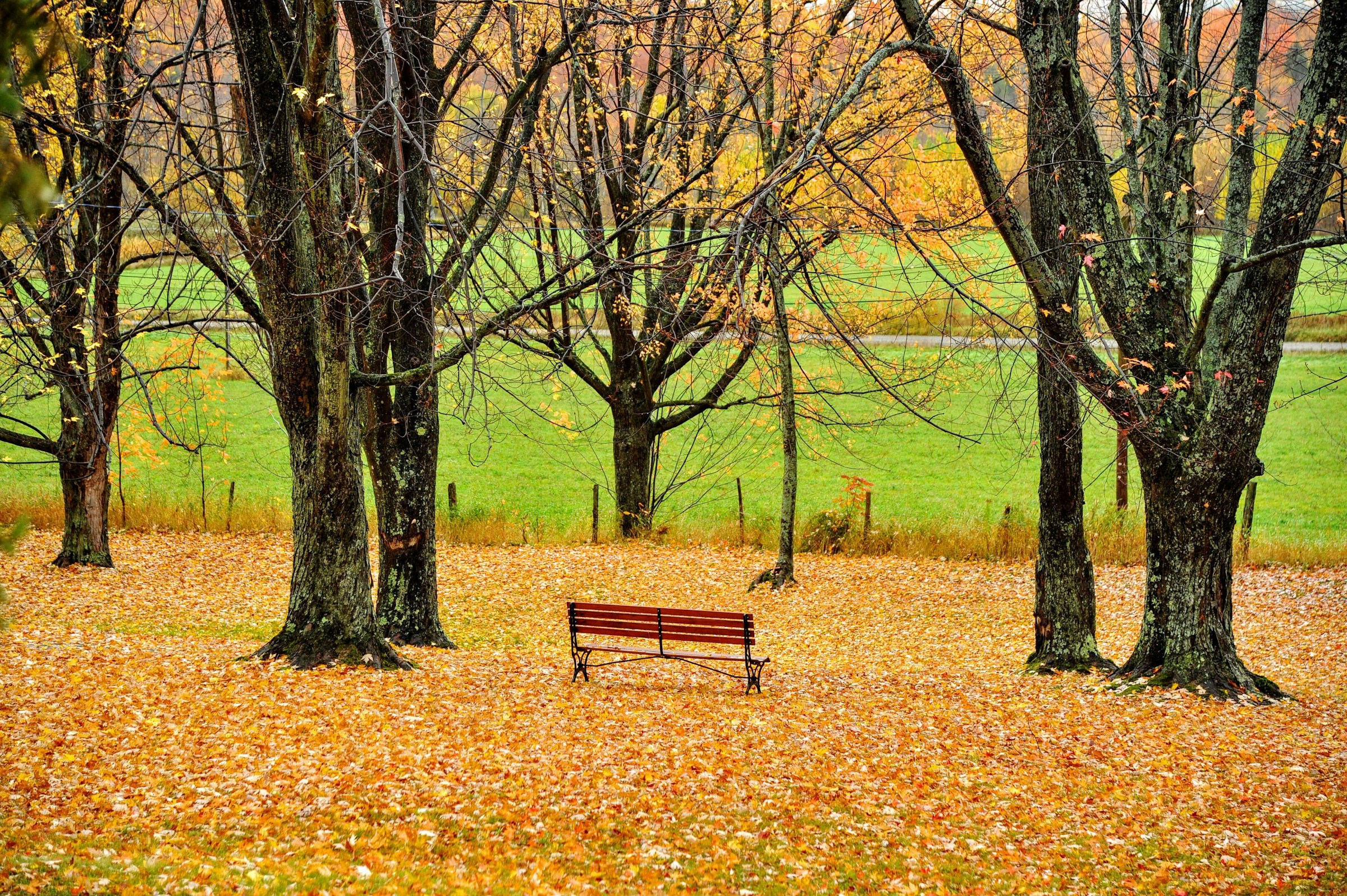 An empty park | Source: Unsplash