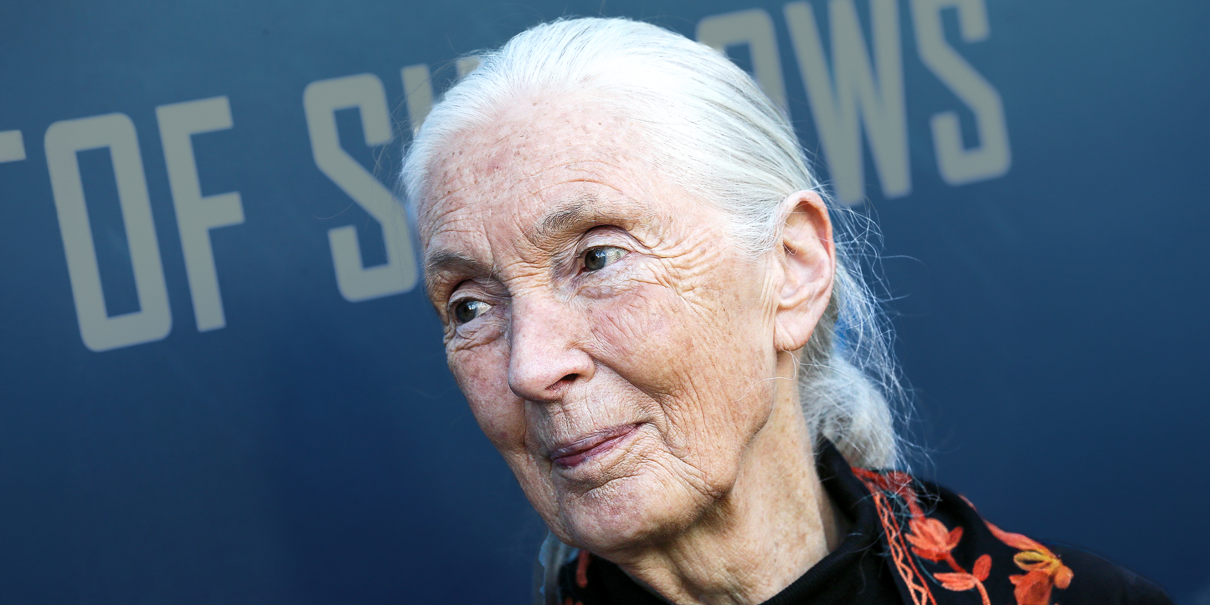Jane Goodall | Source: Getty Images