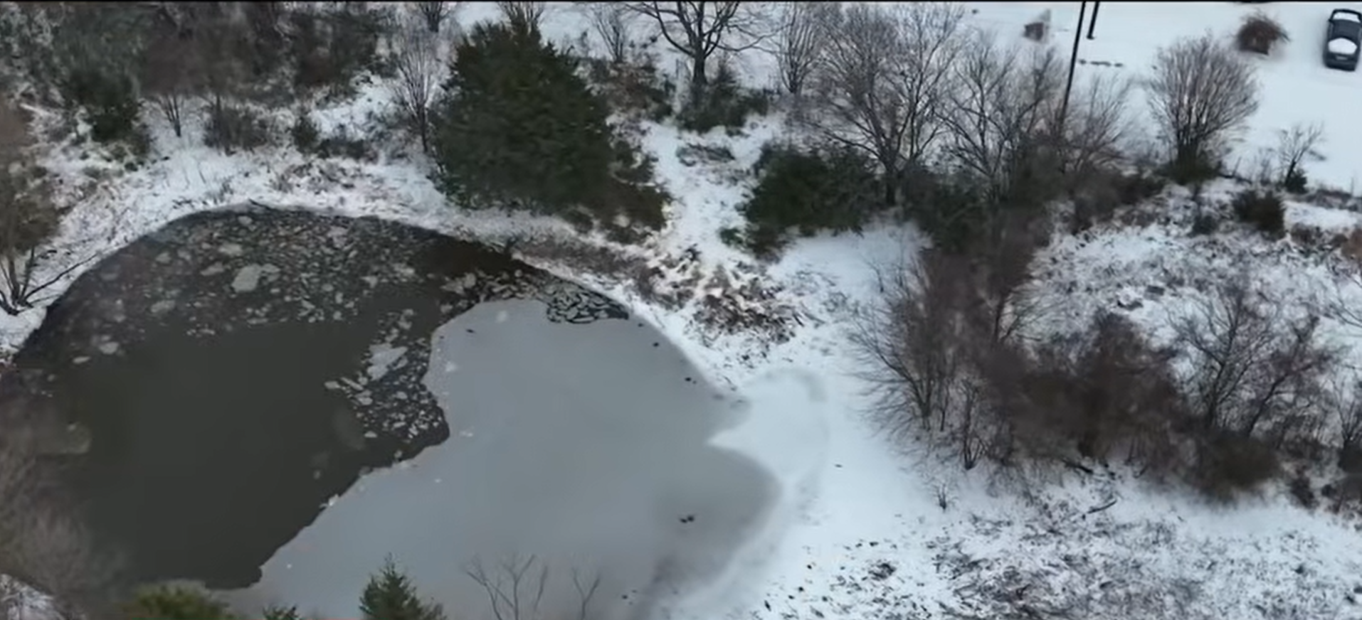 A view of the pond, dated January 28, 2026 | Source: YouTube/@kwtxnews10