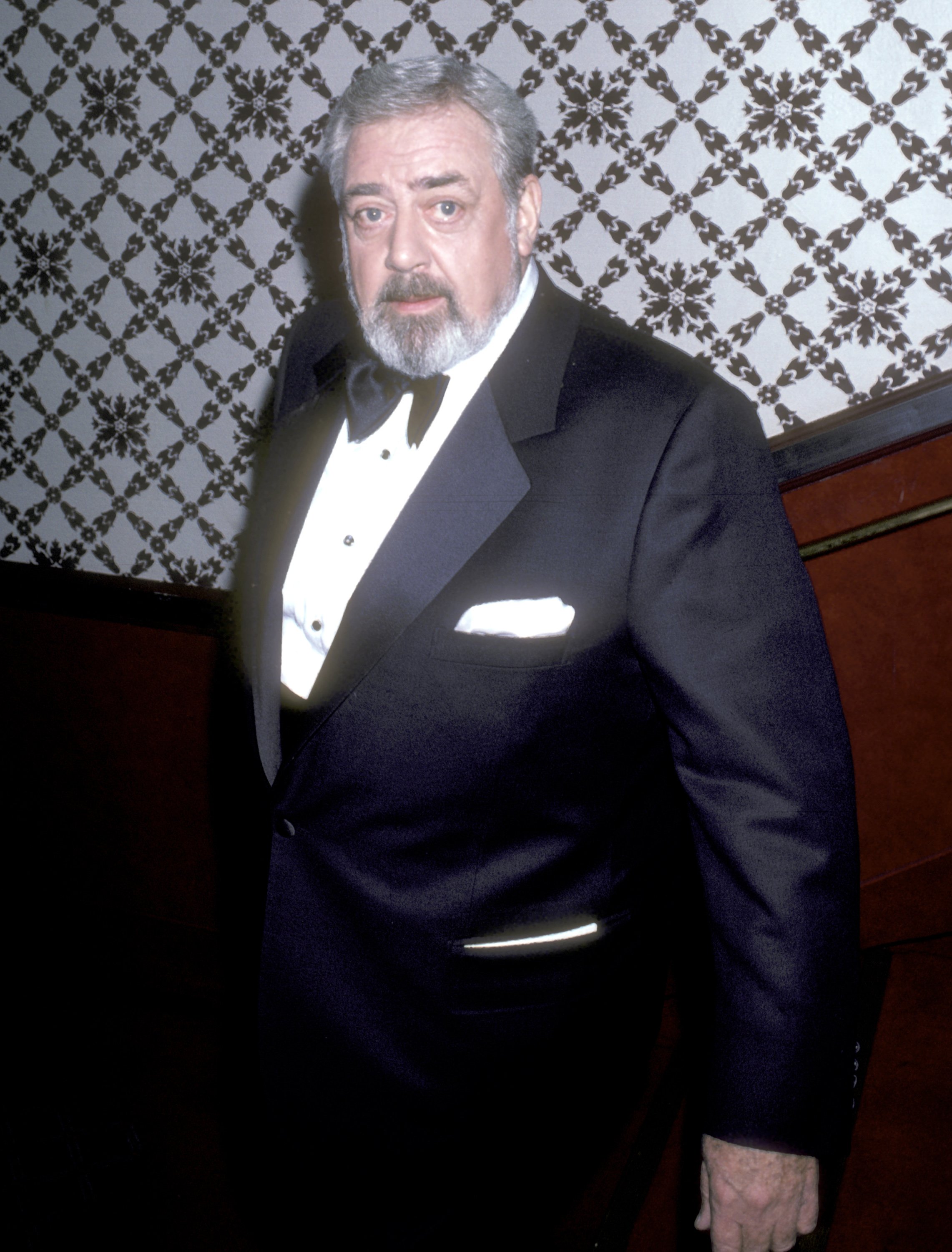 Raymond Burr attends the 13th Annual International Emmy Awards at the Sheraton Centre Hotel on November 25, 1985 in New York City ┃Source: Getty Images