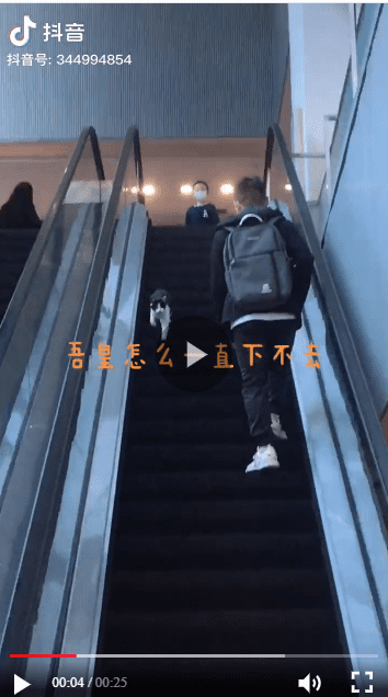 A screenshot from a video of a black and white cat running the wrong way down an escalator in China | Photo: iesdouyin/344994854