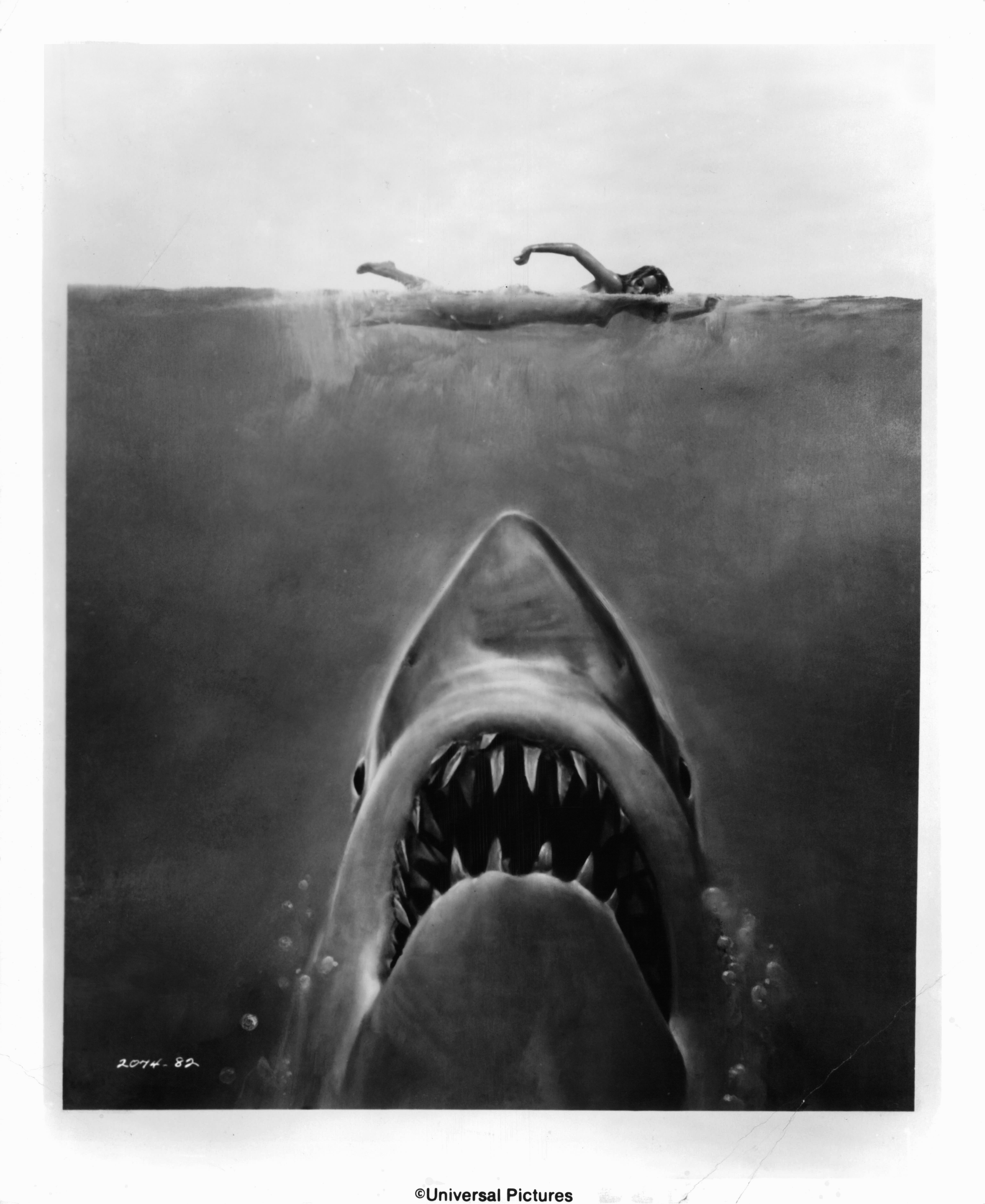 Susan Backlinie swimming as the great white shark swims up in publicity art for the film "Jaws" in 1975 | Source: Getty Images