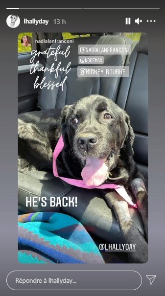 Photo du chien de Johnny. | Photo : Story Instagram / lhallyday