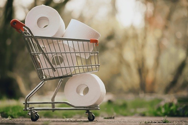 Cart full of toilet paper | Photo: Pixabay