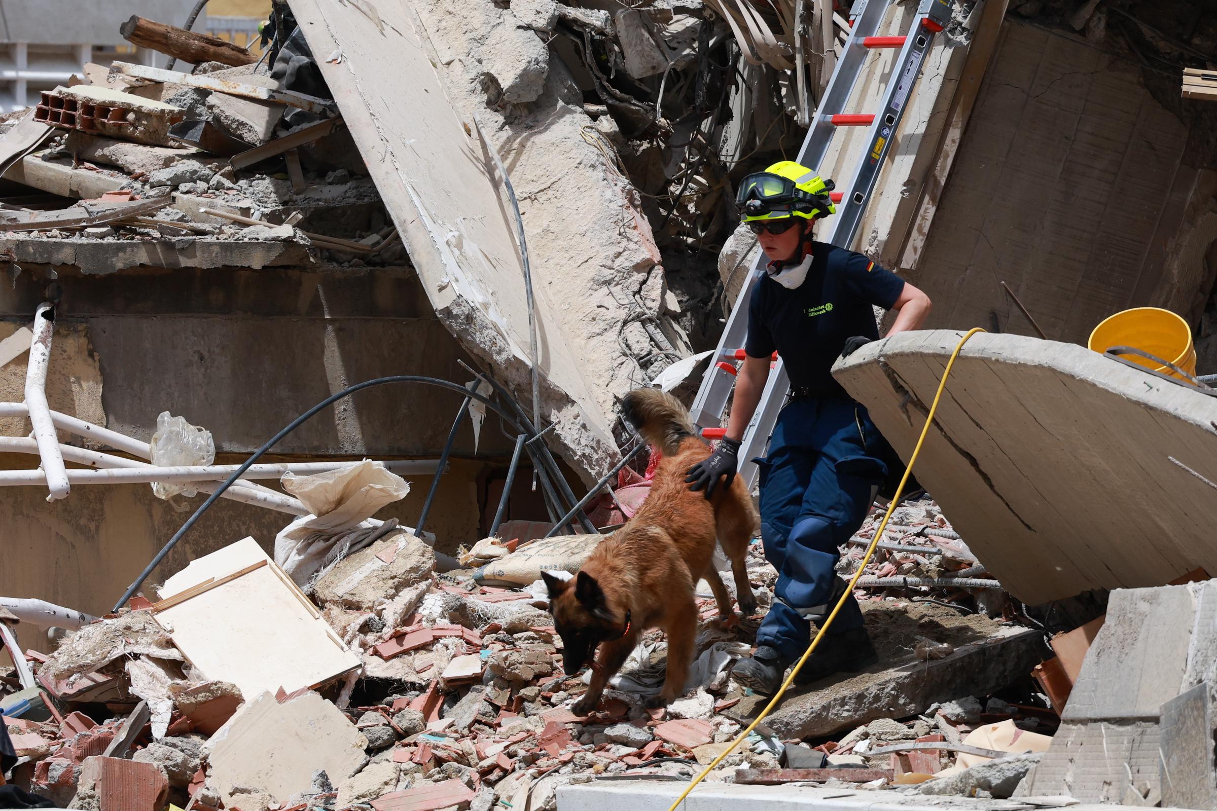 A search-and-rescue worker from Germany's Federal Agency for Technical Relief (THW) and a rescue dog search through the rubble in La Guaira. International teams joined local crews as recovery efforts continued after the devastating earthquakes. | Source: Getty Images