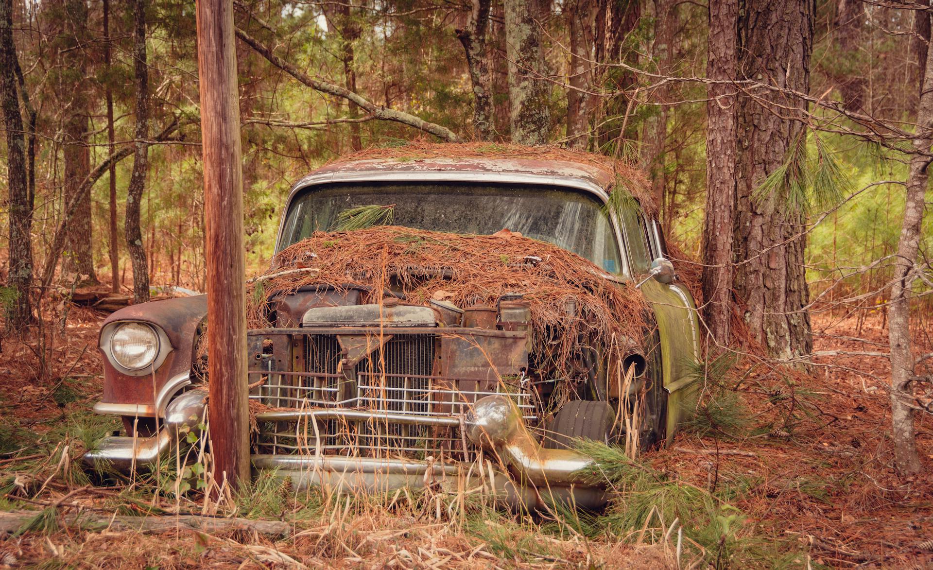 An abandoned car in a forest | Source: Pexels