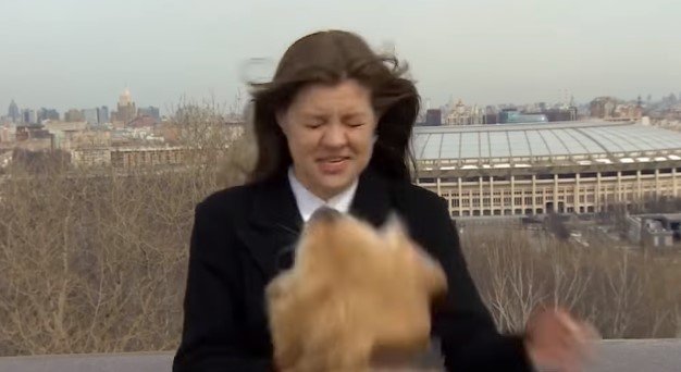 Der Moment, in dem ein Hund der russischen Wetter-Moderatorin das Mikro stiehlt. I Quelle: facebook.com/Мир 24