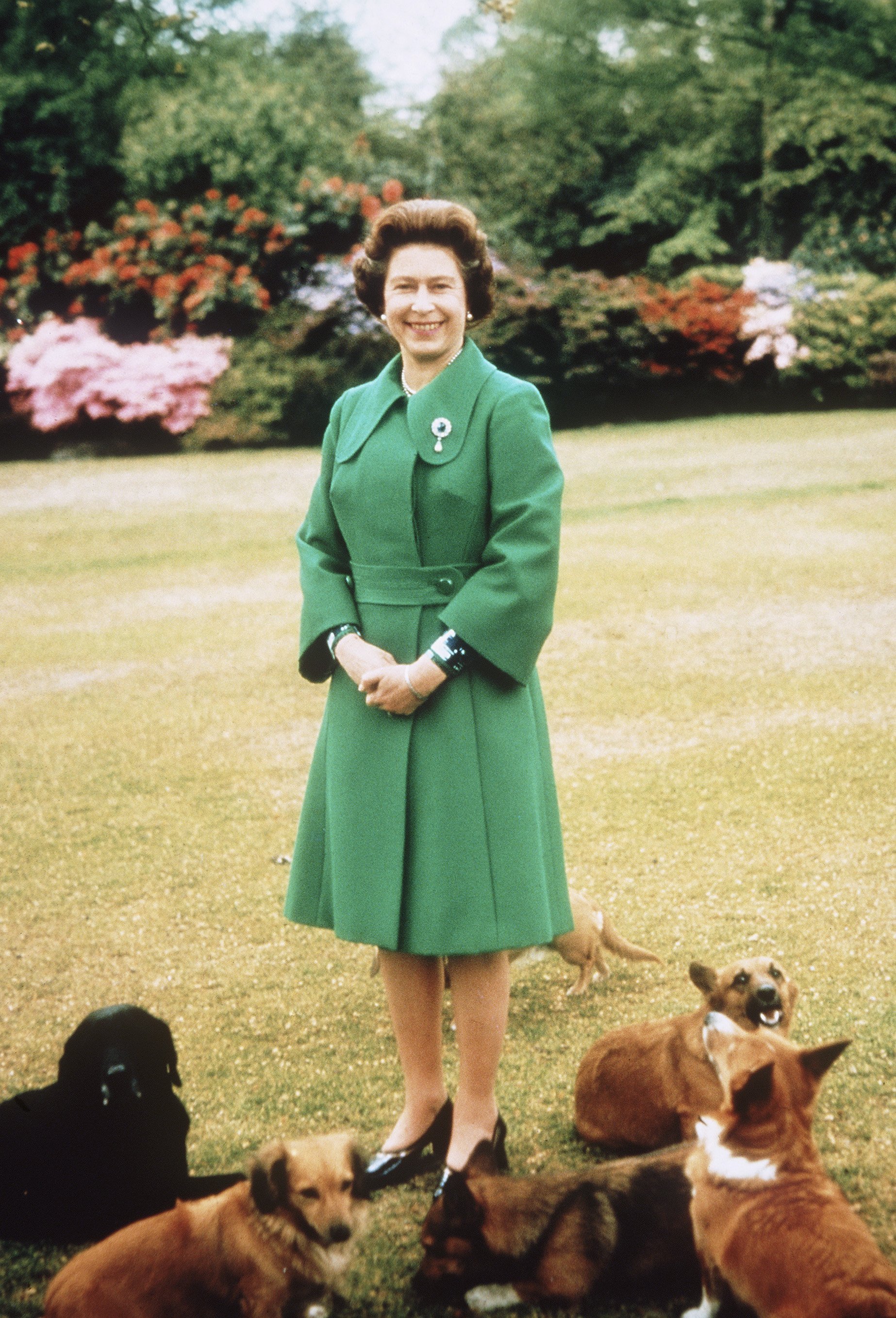 Queen Elizabeth II relaxes at Sandringham with her corgis on an unspecified date. | Source: Getty Images.