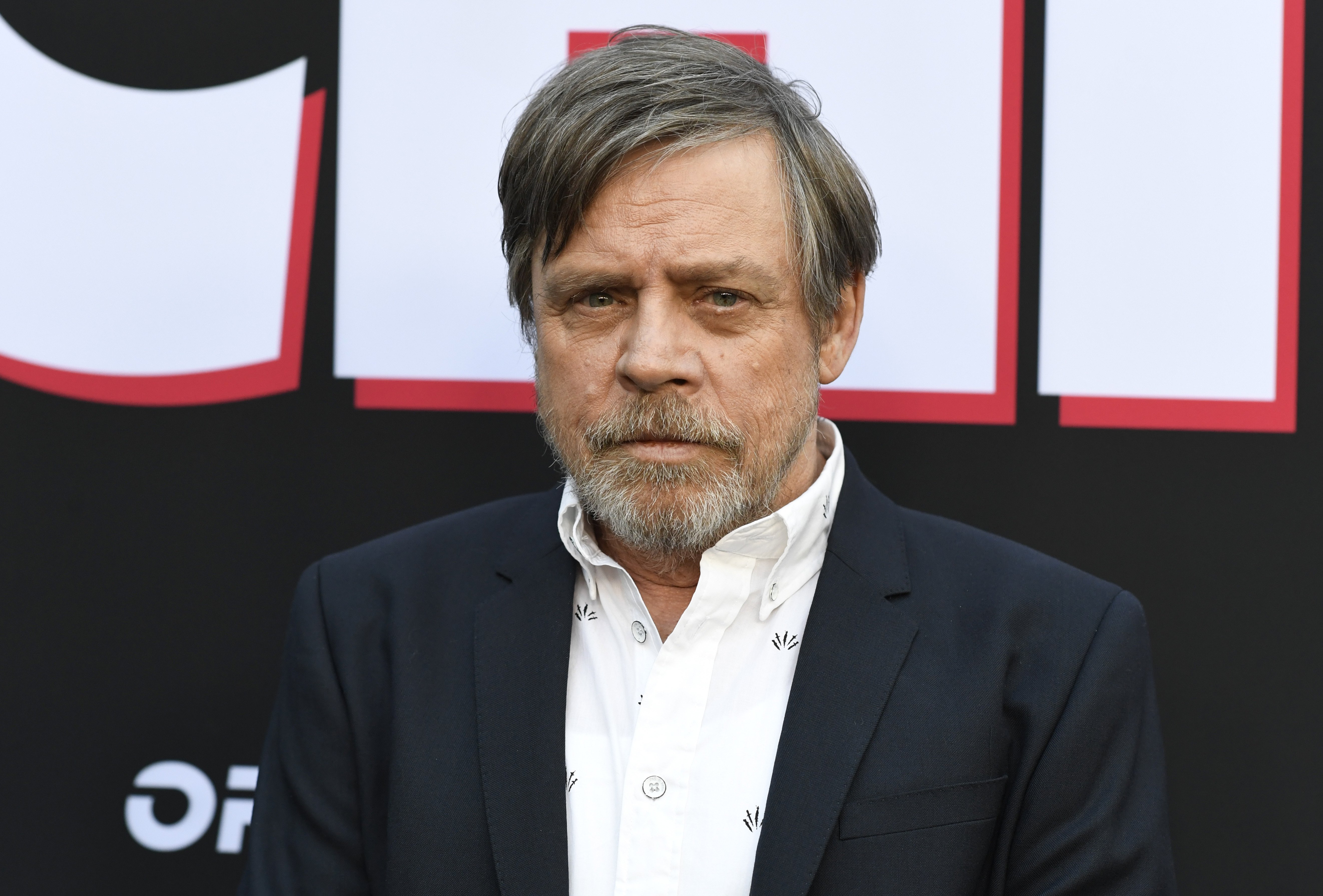 Mark Hamill attends the Premiere of Orion Pictures and United Artists Releasing's "Child's Play" on June 19, 2019 in Hollywood, California. | Source: Getty Images