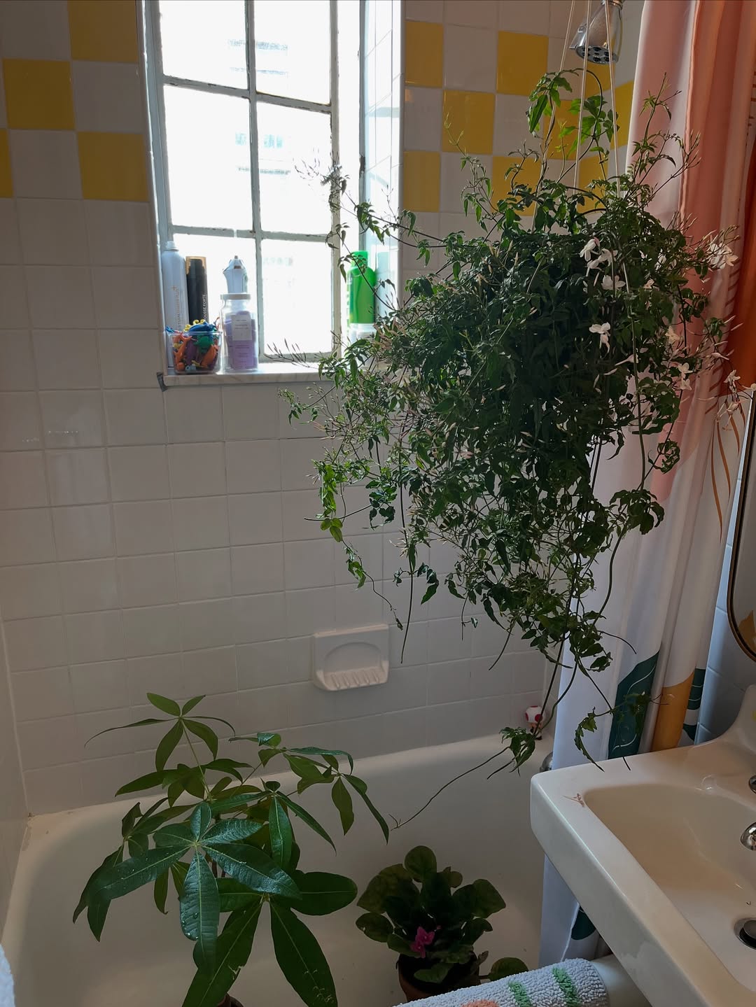 Inside Drew Barrymore's bathroom from a post dated July 10, 2025. | Source: Instagram/drewbarrymore