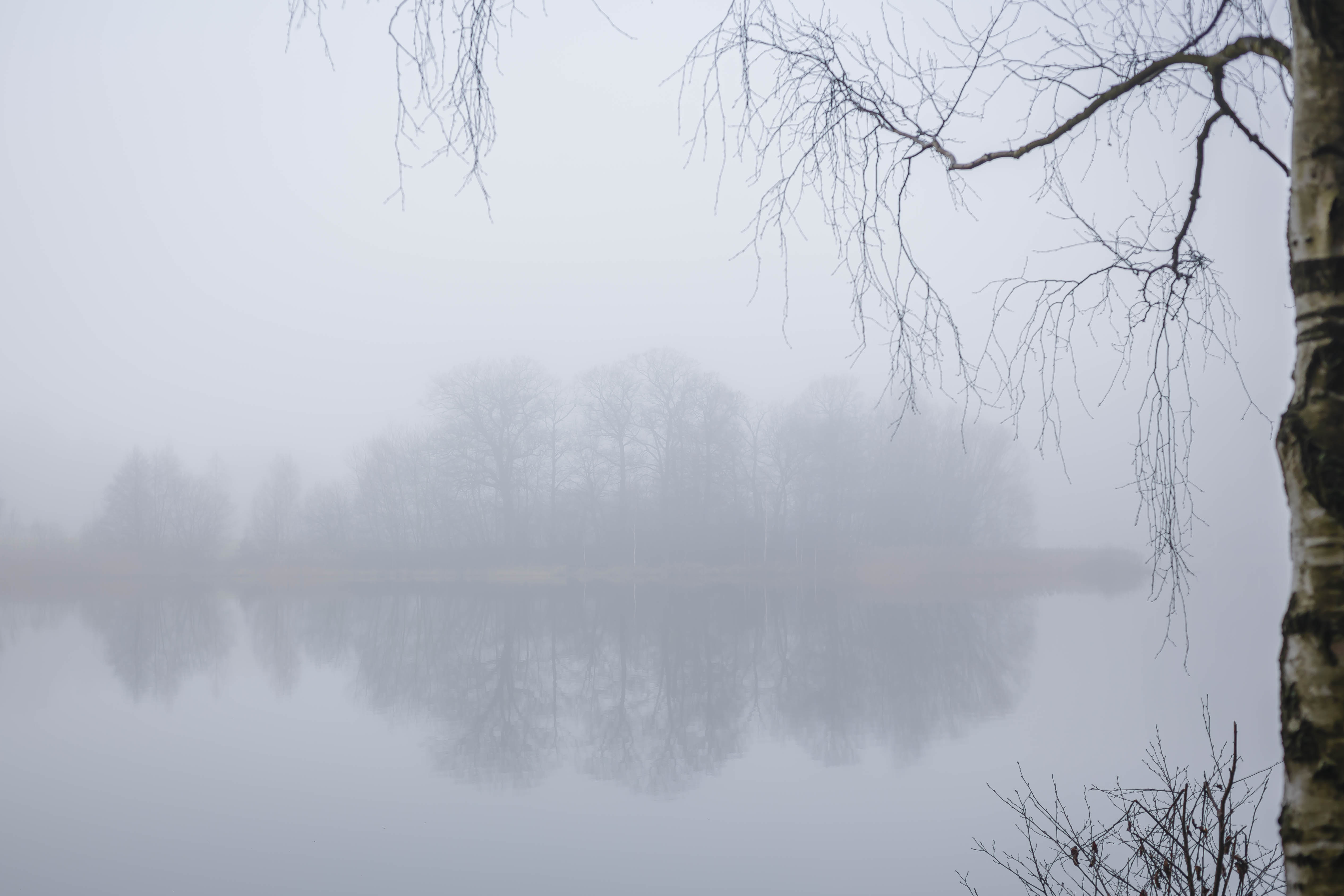 Thick fog lies over the reservoir on December 26, 2024, in Heyda, Germany. | Source: Getty Images