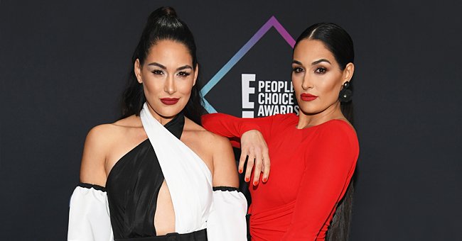 Nikki and Brie Bella's Grandmother Visits Their Newborn Sons — See the ...