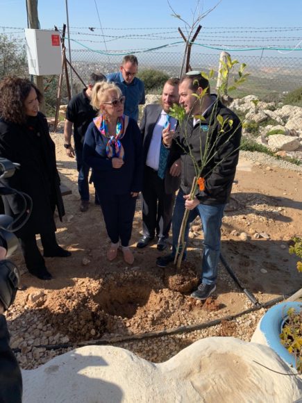 Roseanne planting a tree in the West Bank. | Photo: Twitter/Rabbi Boteach