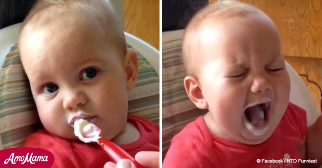 Video compilation shows babies trying new food for the first time