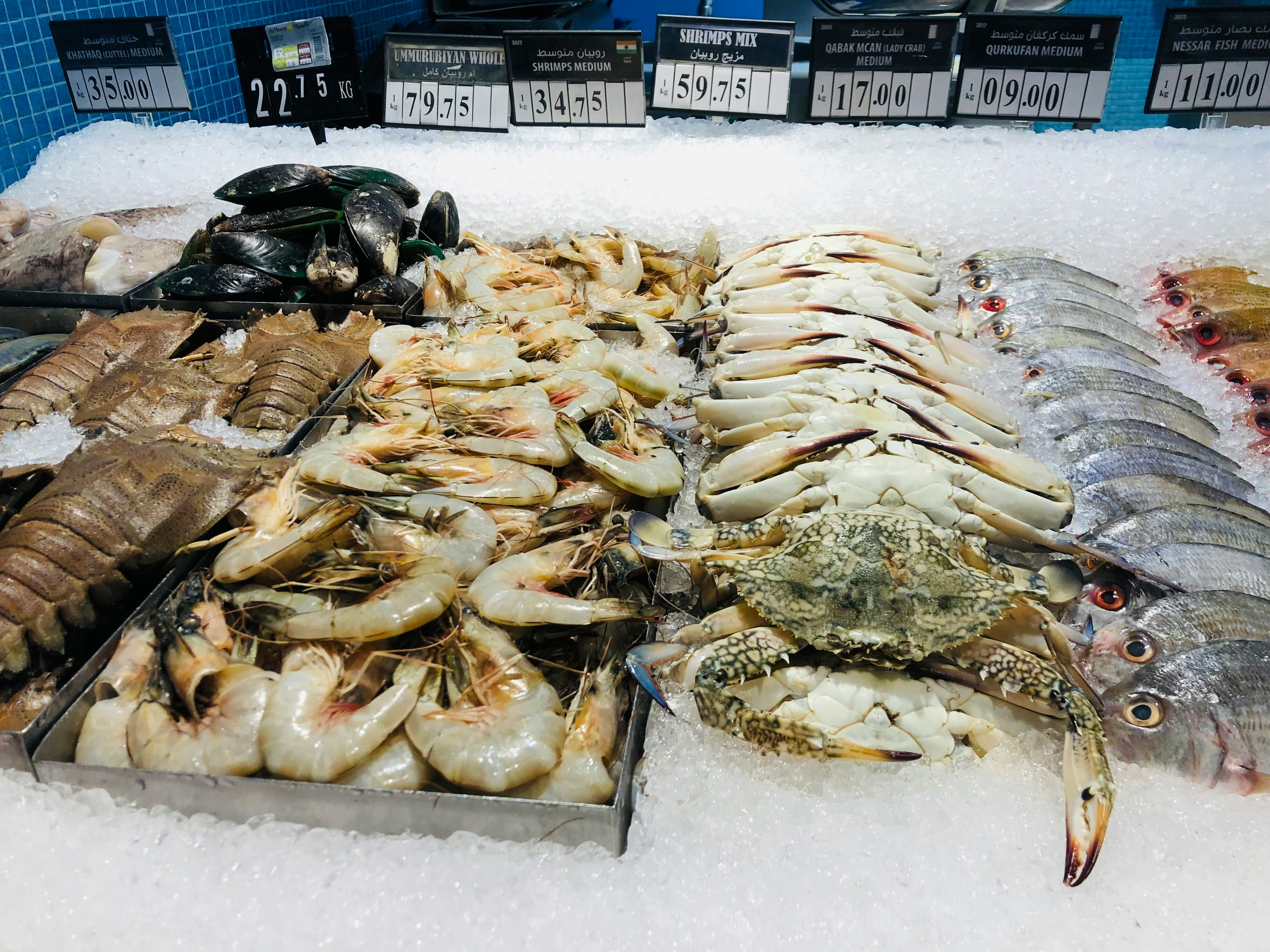 Fresh seafood on ice at a market. | Source: Pexels