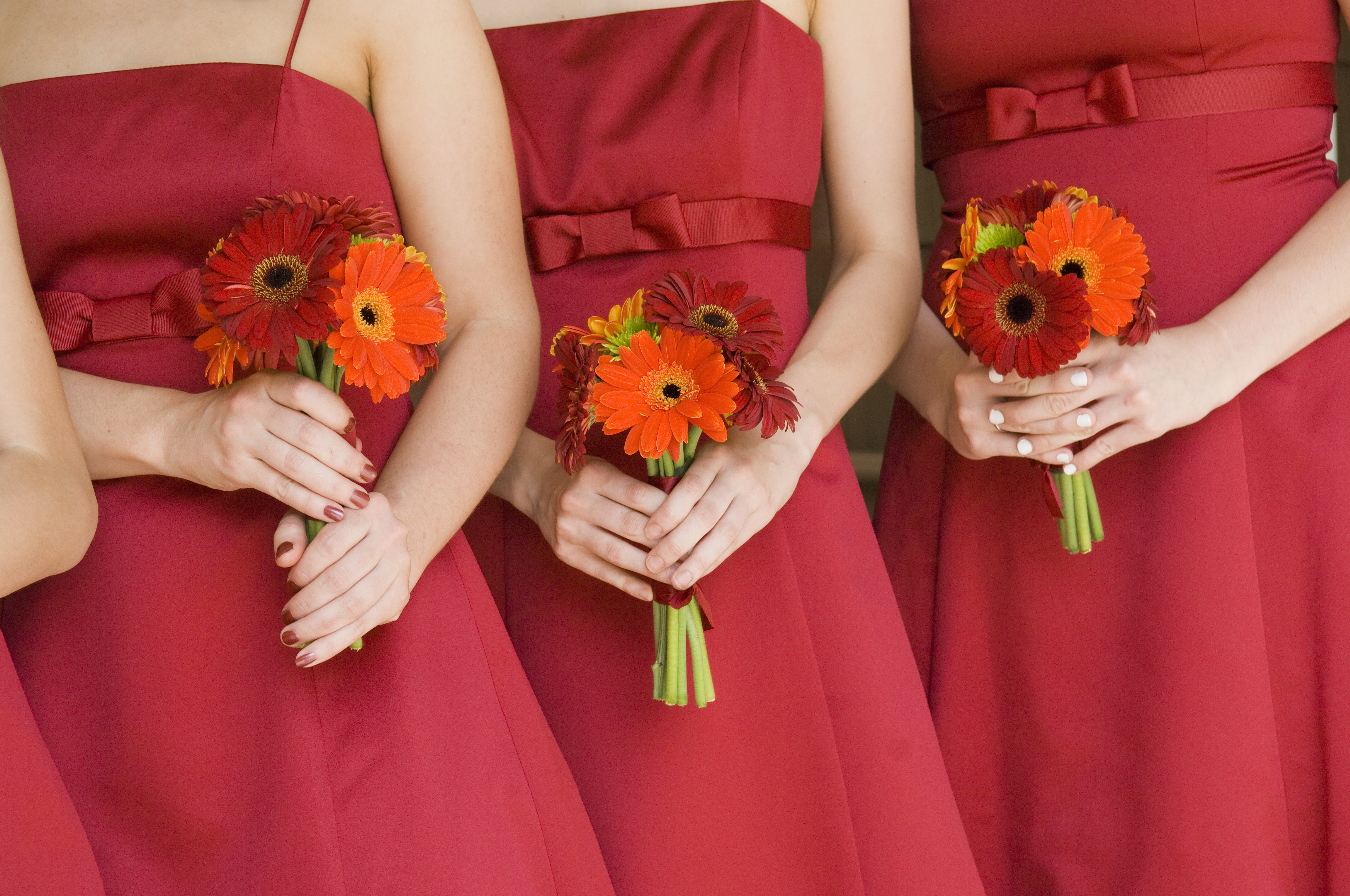 Bridesmaids in red dresses holding bouquets of Gerber daisies. | Source: Shutterstock