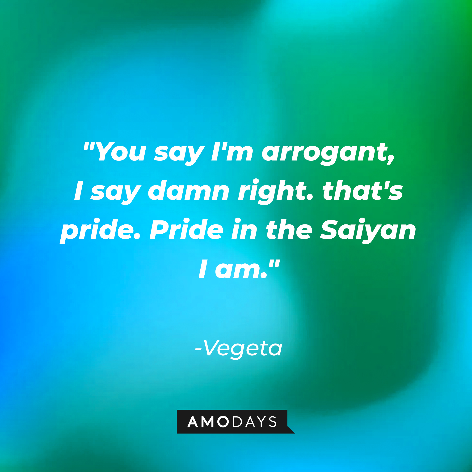 Vegeta's quote: "You say I'm arrogant, I say damn right. that's pride. Pride in the Saiyan I am." | Source: Amodays