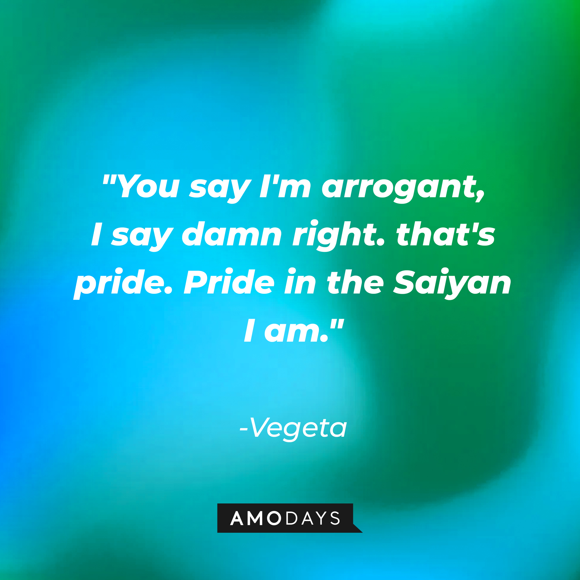 22 Best Vegeta Quotes That Will Leave You Motivated