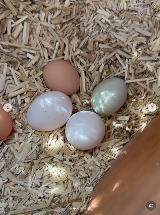 A screengrab of a video, dated 6 April 2026. | Source: Instagram/meghan