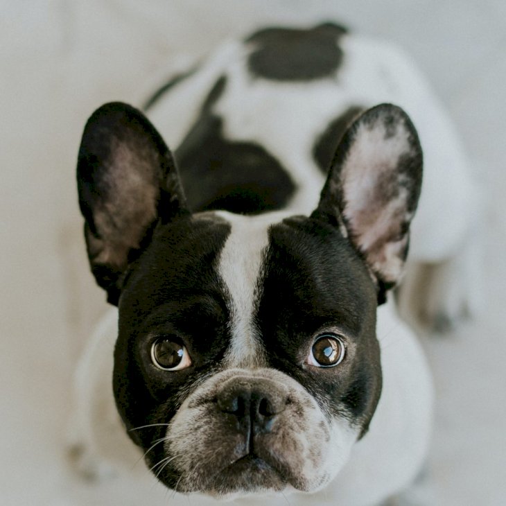 Photo by Angelos Michalopoulos on Unsplash