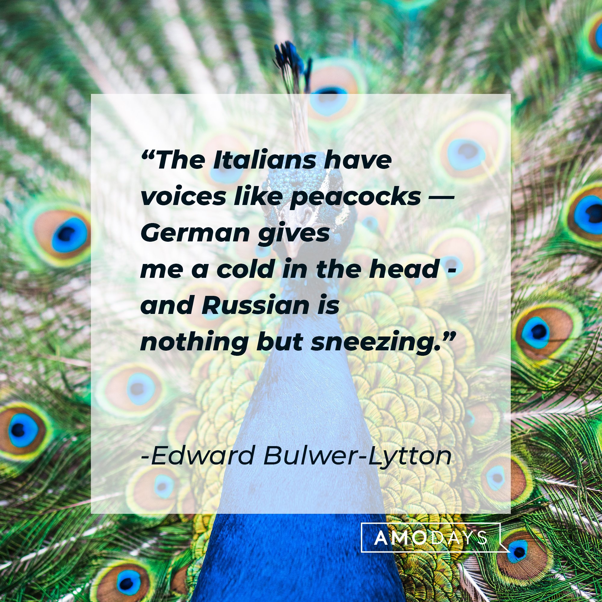 Edward Bulwer-Lytton’s quote: "The Italians have voices like peacocks — German gives me a cold in the head - and Russian is nothing but sneezing." | Image: AmoDays