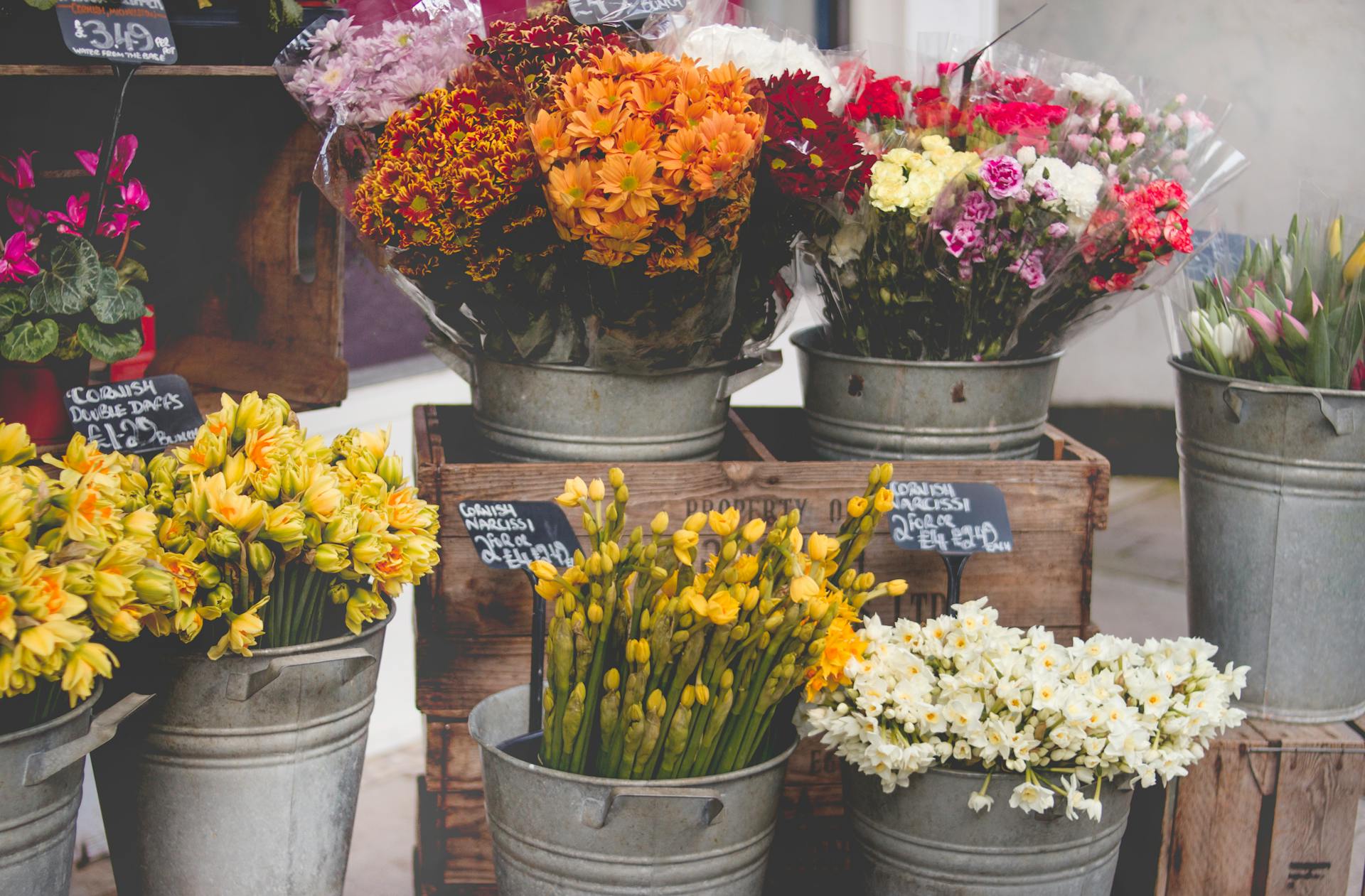 Silver buckets of flowers | Source: Pexels