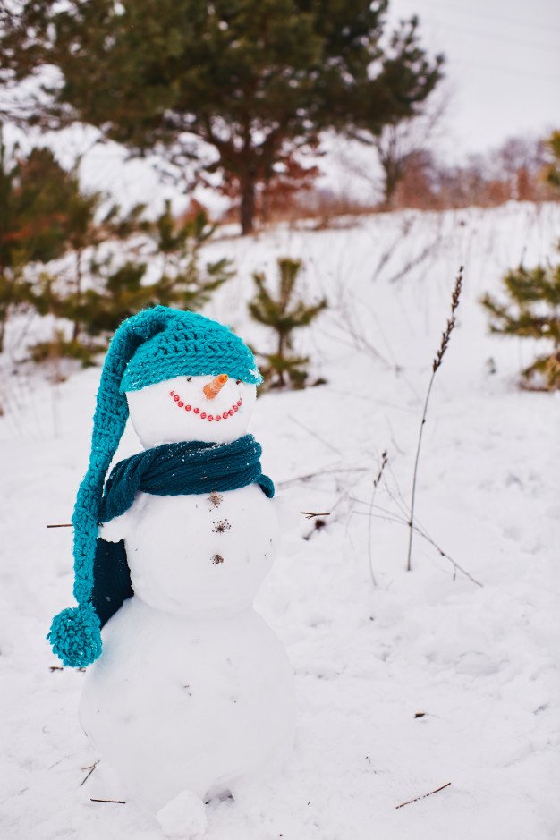 Muñeco de nieve. │Foto: Freepik