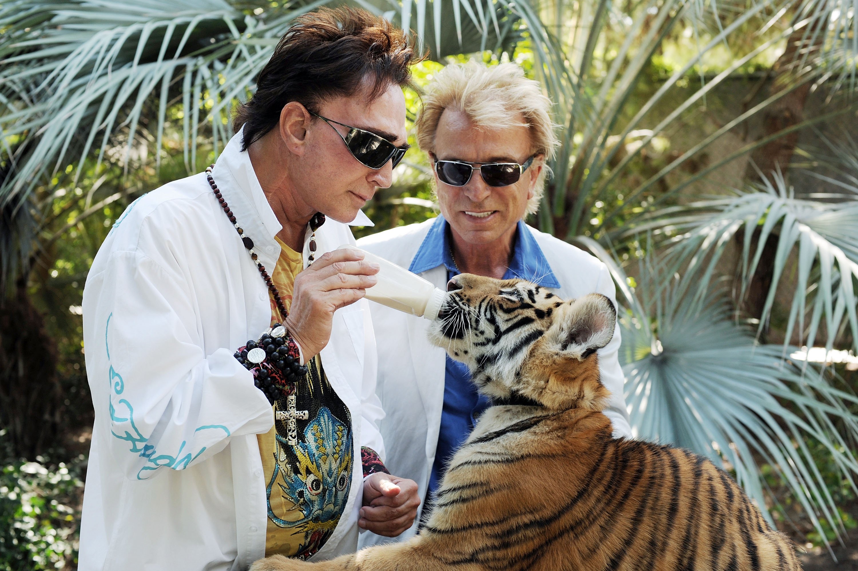 Siegfried Fischbacher und Roy Horn füttern ein Tiger-Baby | Quelle: Getty Images