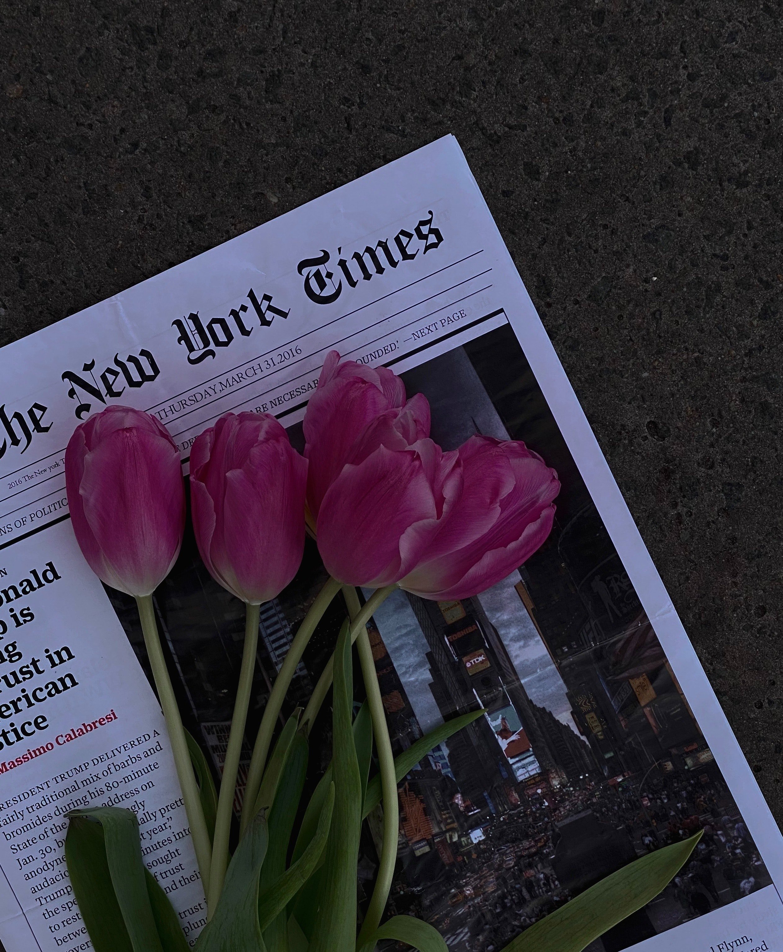 Michael left the newspaper on Agnes' doorstep every day. | Source: Pexels