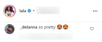 A fan's comment on La La Anthony's Instagram post | Photo: Instagram/lala