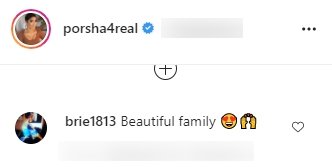 A fan's comment on Porsha Williams' post on Instagram | Photo: Instagram/porsha4real