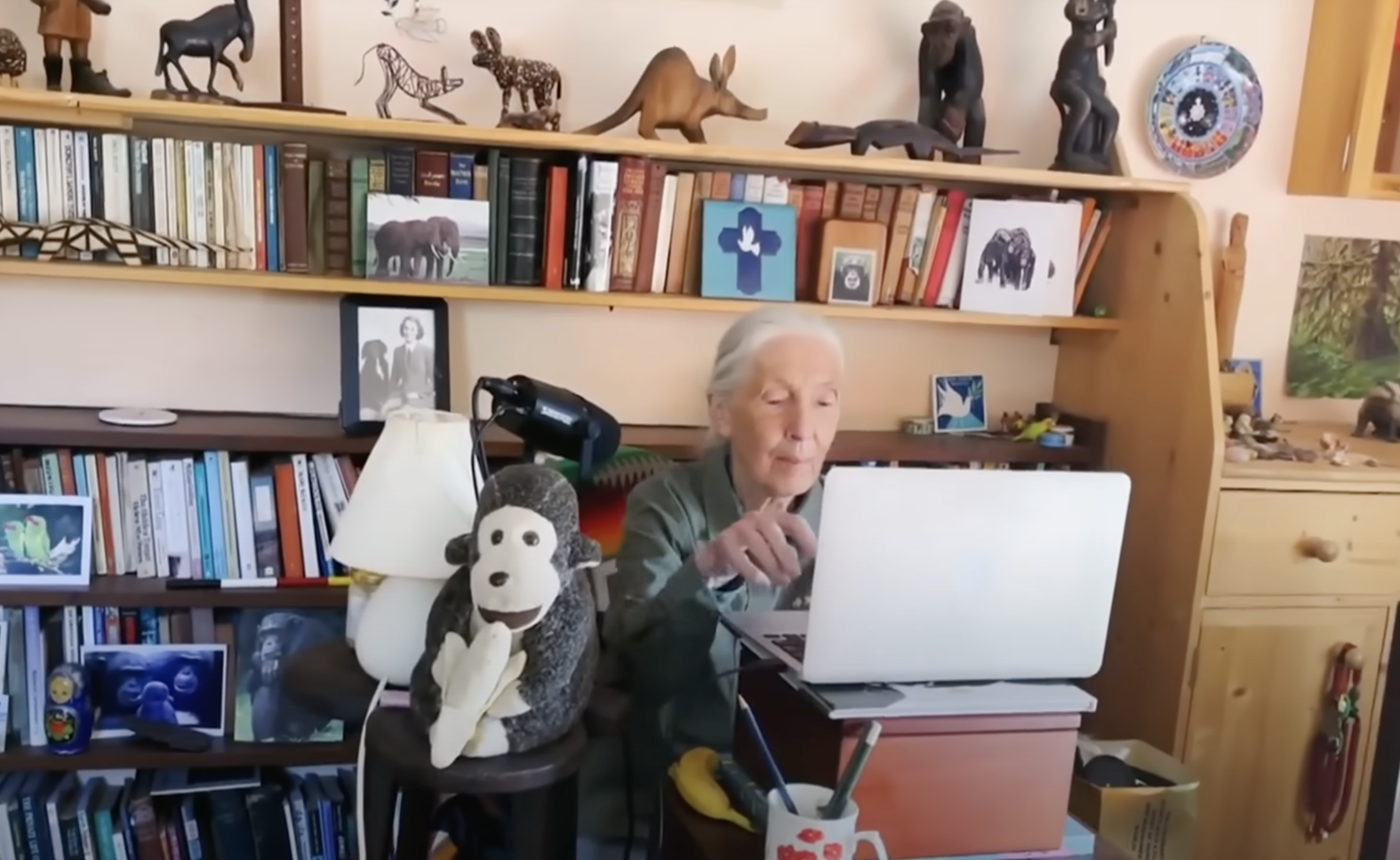 Jane Goodall works at a laptop from a small, elevated desk in a room filled with bookshelves, family photos, and animal figurines. A stuffed monkey sits in front of a lamp beside her. | Source: YouTube/@CBSSundayMorning