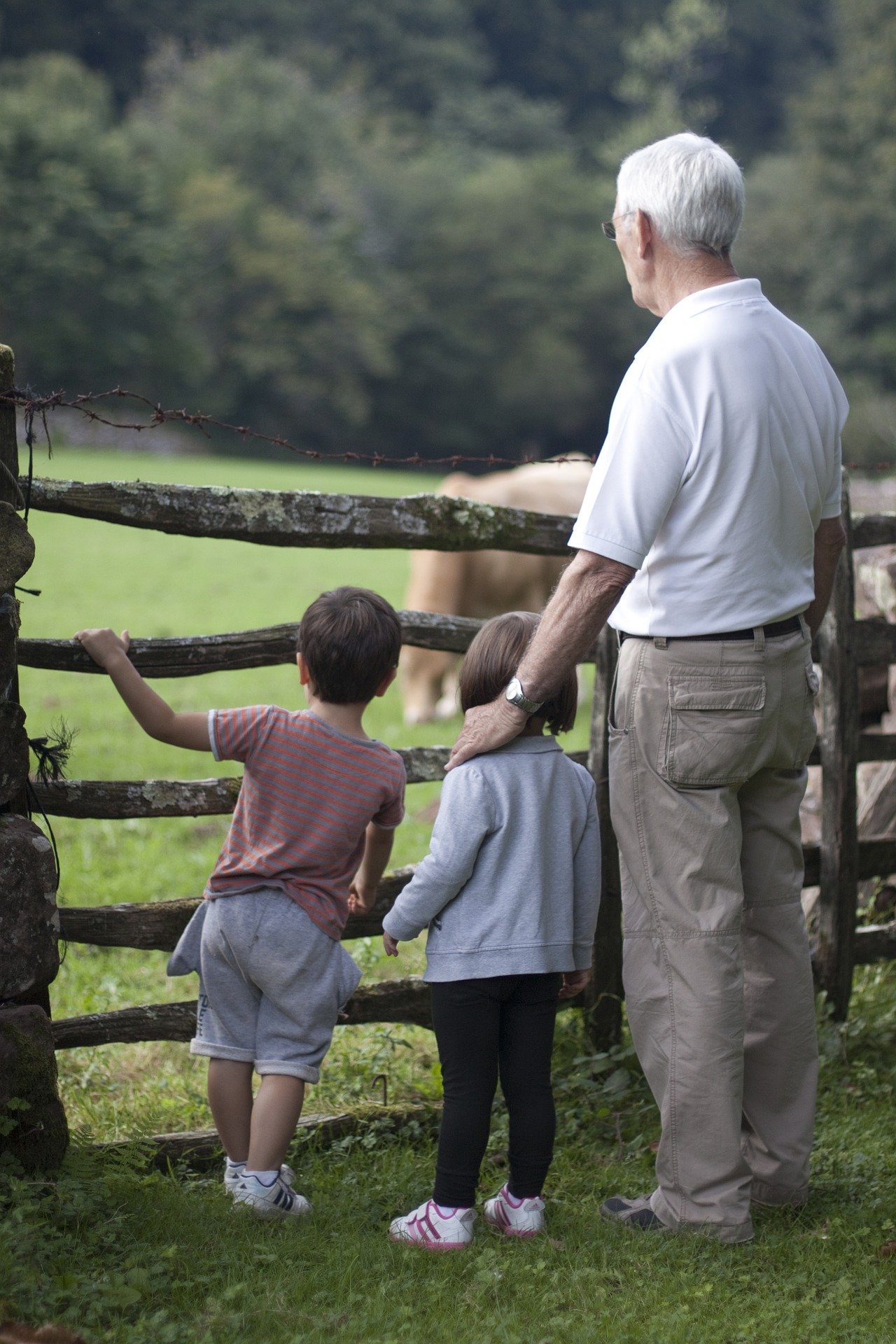 Abuelo con nietos | Foto: Pixabay Abuelo con nietos | Foto: Pixabay
