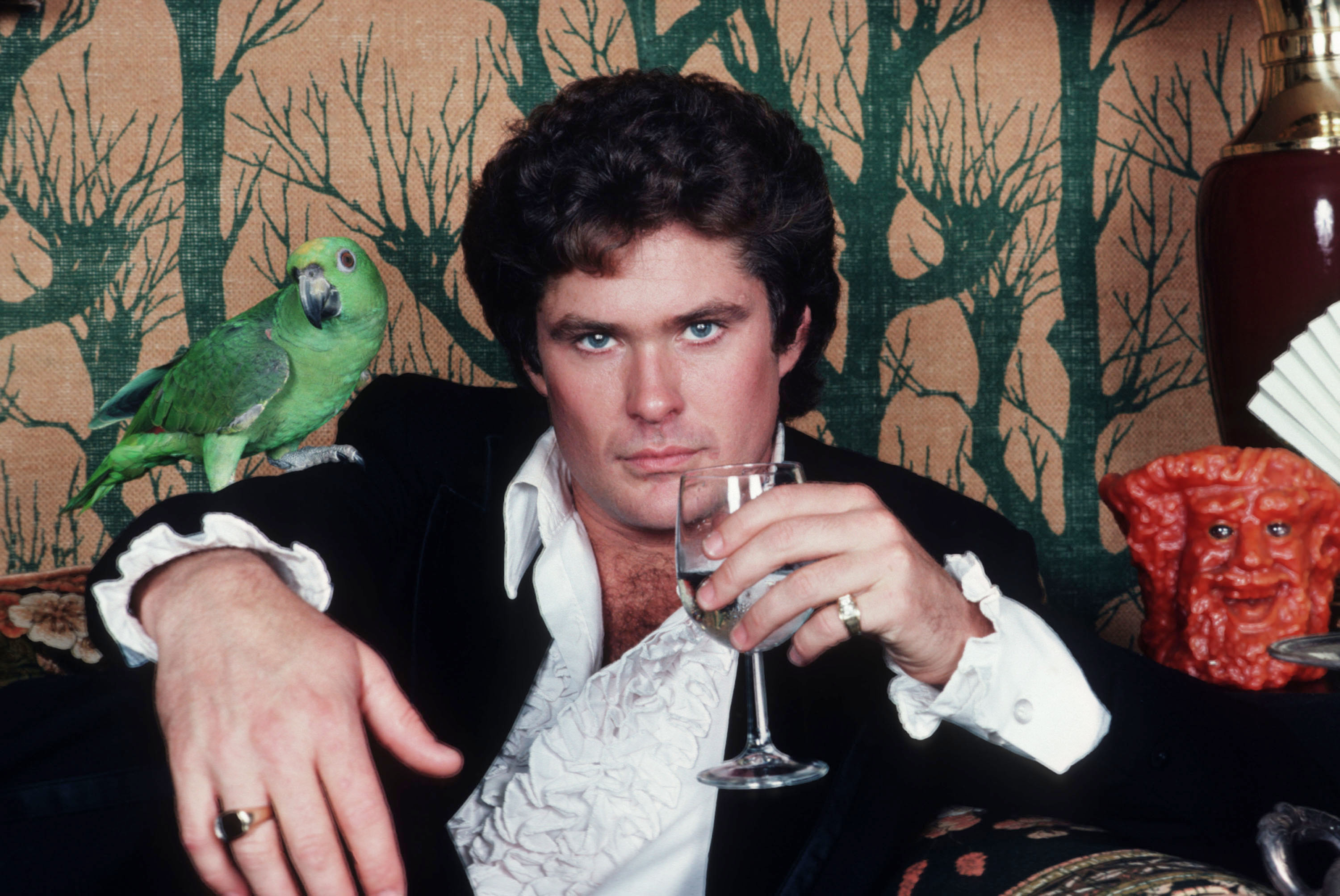 David Hasselhoff poses for a portrait in Los Angeles, circa 1985.