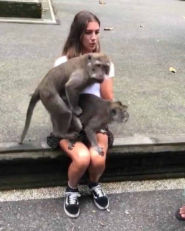 Source : Instagram / camillavalotti Source : Instagram / camillavalotti