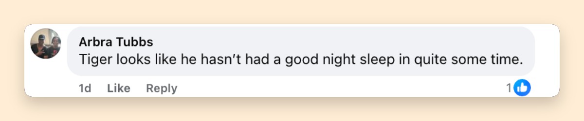 A netizen's comment on Tiger Woods' second mugshot | Source: Facebook/peoplemag