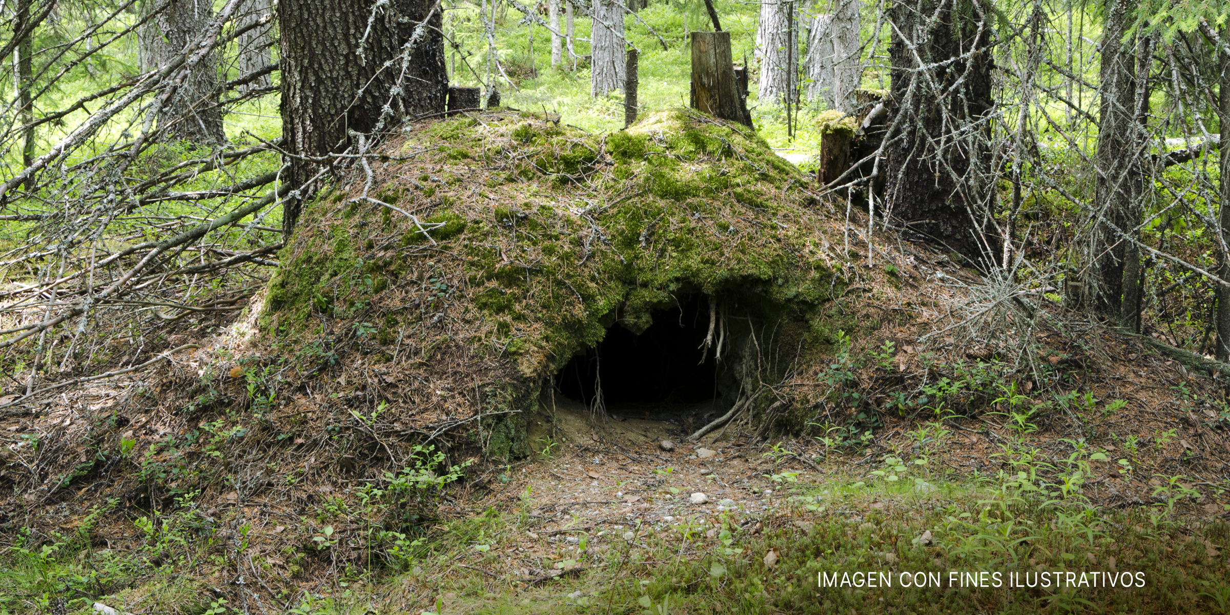 Una cueva en el bosque | Foto: Shutterstock