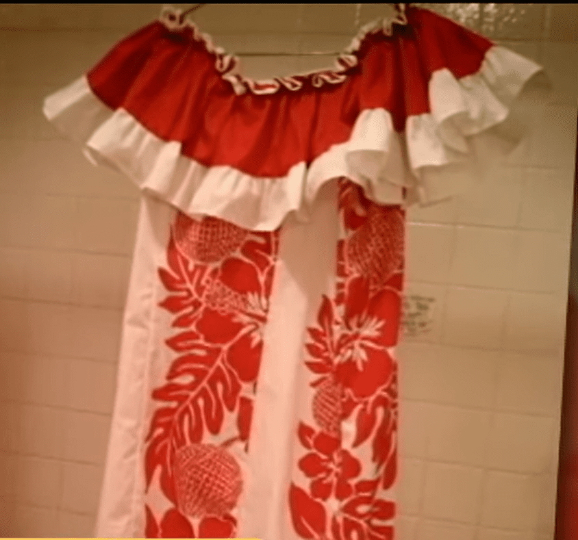 One of the ugly dresses Ally bought for Kaylee. | Source: youtube.com/ABC News