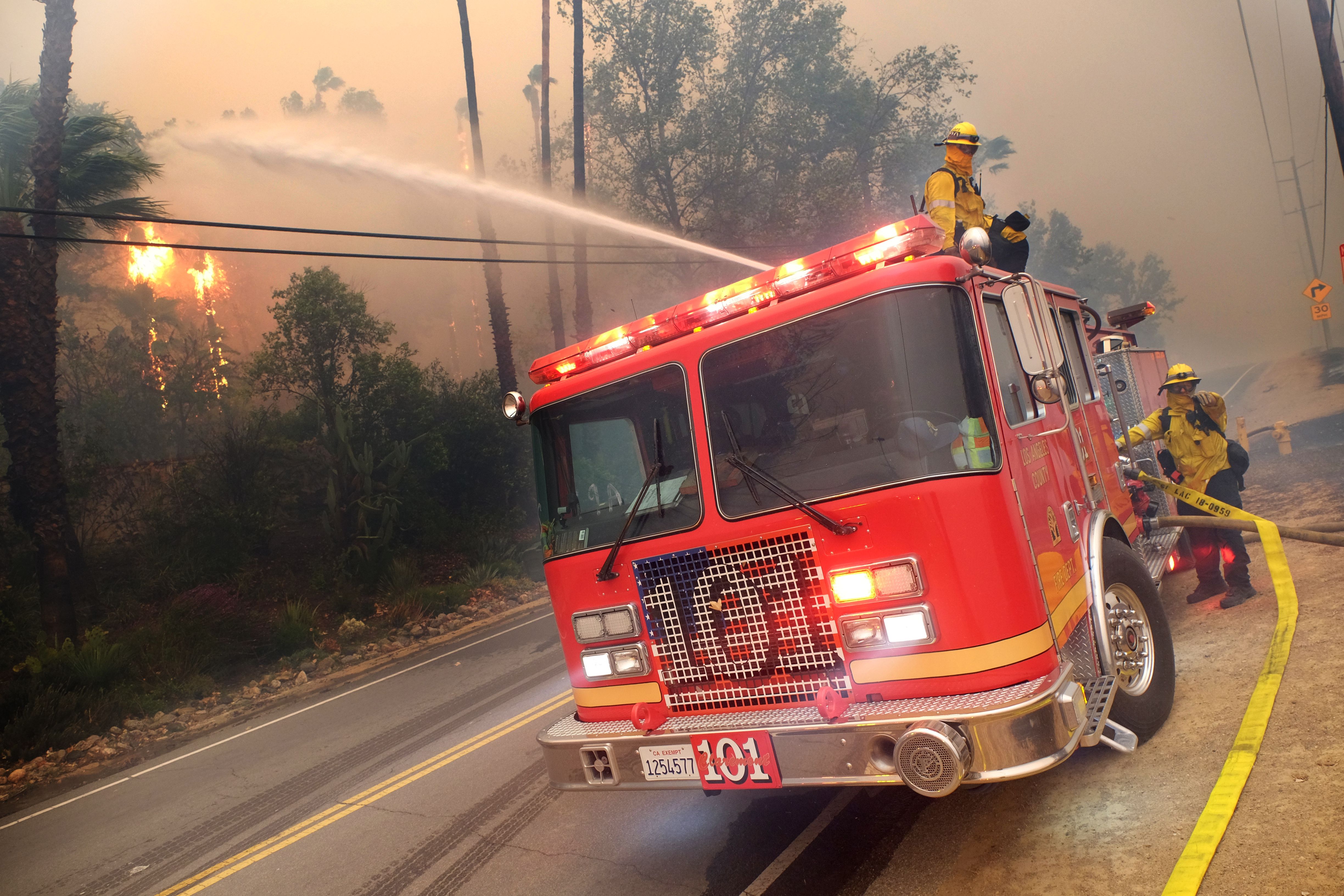 Firefighters putting out a fire by the woods. | Photo: Getty Images