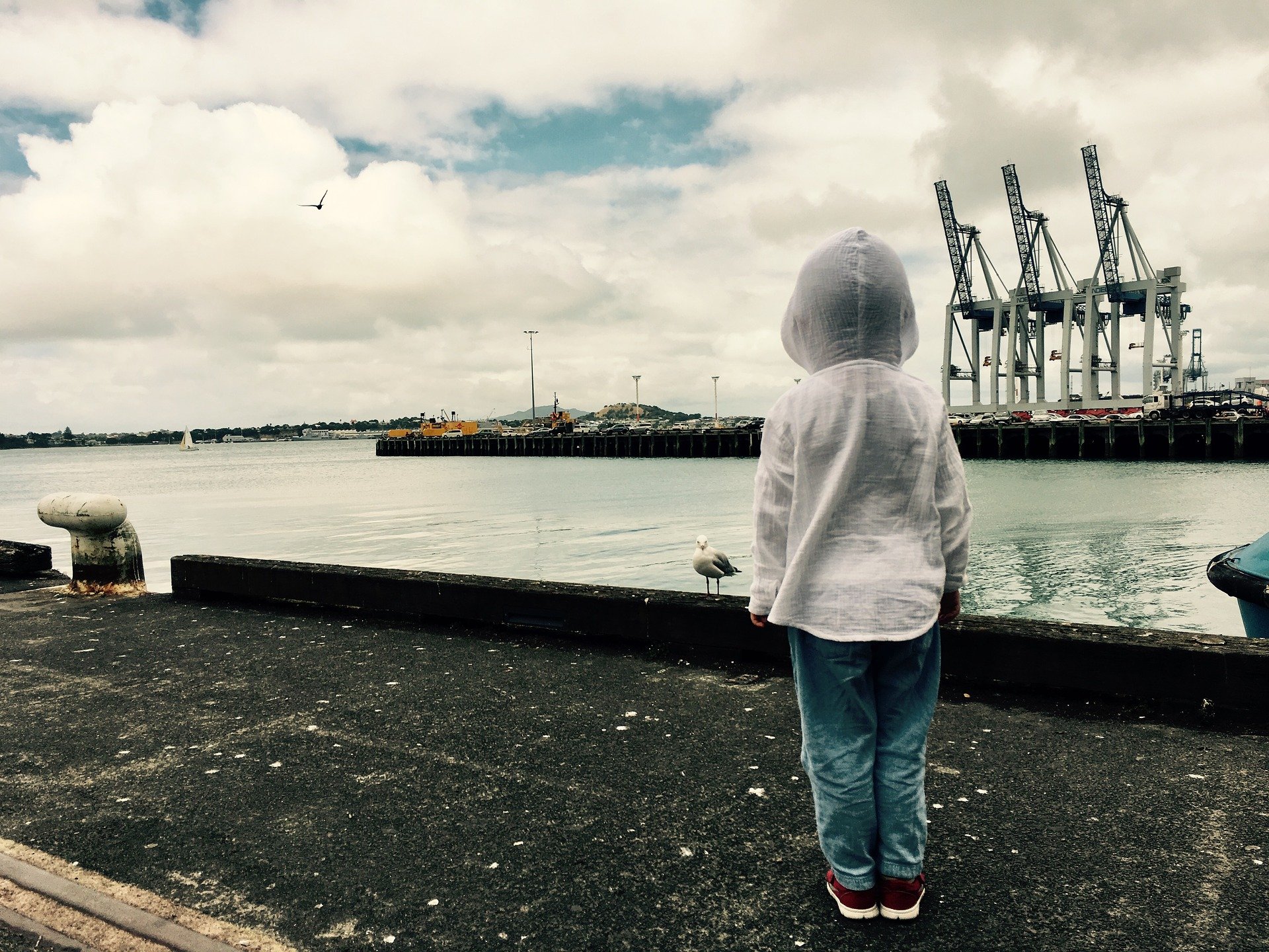 A child looking over the harbor | Source: Pixabay